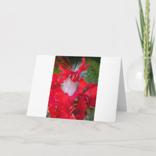 Mooie Alien Crimson.jpg Kaart