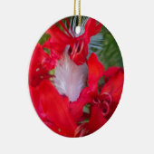 Mooie Alien Crimson.jpg Keramisch Ornament (Rechts)