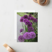 Mooie Alliums Notitiekaartje (Voorkant / Achterkant in situ)
