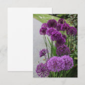 Mooie Alliums Notitiekaartje (Voorkant / Achterkant)