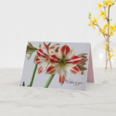 Mooie Amaryllis bloem & aangepaste tekst verjaarda Kaart (Gele Bloem)