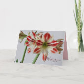 Mooie Amaryllis bloem & aangepaste tekst verjaarda Kaart (Voorkant)