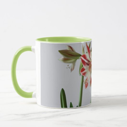 Mooie Amaryllis-bloemen en custom+name Mok (Links)