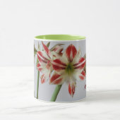 Mooie Amaryllis-bloemen en custom+name Mok (Midden)