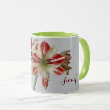 Mooie Amaryllis-bloemen en custom+name