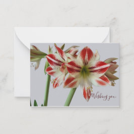 Mooie Amaryllis flower & straatsverjaardag Notitiekaartje