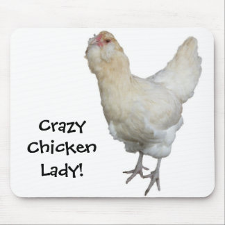 Mooie Amerikaanse Ameraucana kippen Muismat