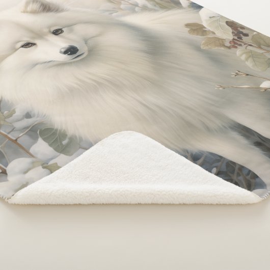 Mooie Amerikaanse Eskimo hond Sherpa Deken (3/4)