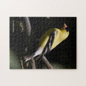 Mooie Amerikaanse Goldfinch Legpuzzel (Horizontaal)
