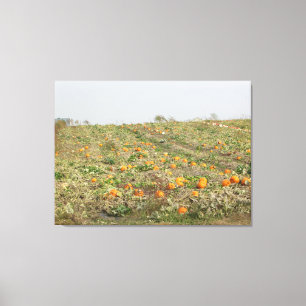 Mooie Amish Pompoenboerderij in het Midwestse plat Canvas Afdruk