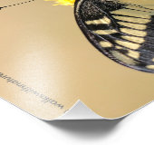 Mooie Anise Swallowtail Butterfly in the Sun Foto Afdruk (Hoek)