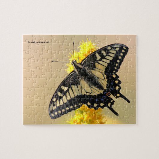 Mooie Anise Swallowtail Butterfly in the Sun Legpuzzel (Horizontaal)