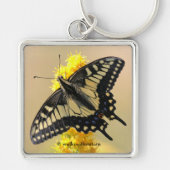Mooie Anise Swallowtail Butterfly in the Sun Sleutelhanger (Voorkant)
