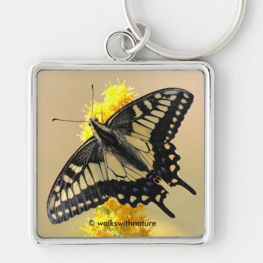 Mooie Anise Swallowtail Butterfly in the Sun Sleutelhanger (Voorkant)