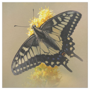 Mooie Anise Swallowtail Butterfly in the Sun Stof