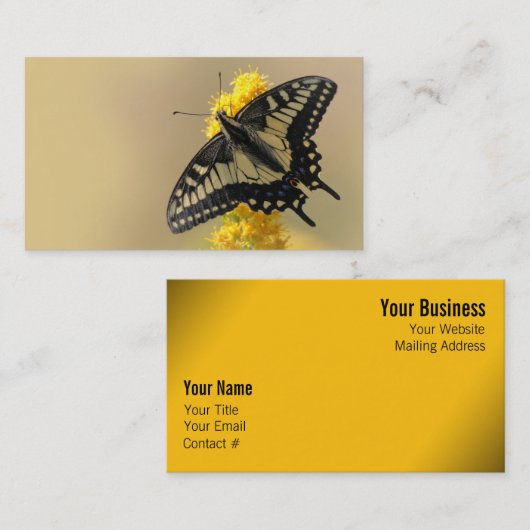 Mooie Anise Swallowtail Butterfly in the Sun Visitekaartje (Voorkant / Achterkant)