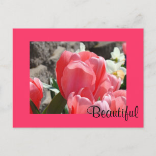 Mooie ansichtkaarten Roze Lente Tulp Bloemen Briefkaart
