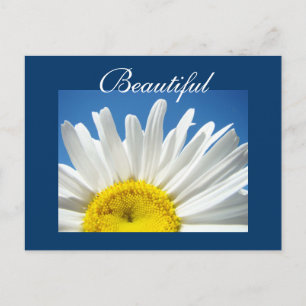 Mooie ansichtkaarten Witte Madeliefjes Bloemen ans Briefkaart
