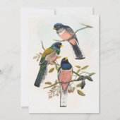 Mooie antieke Birdie uitnodigingssuite Kaart (Achterkant)