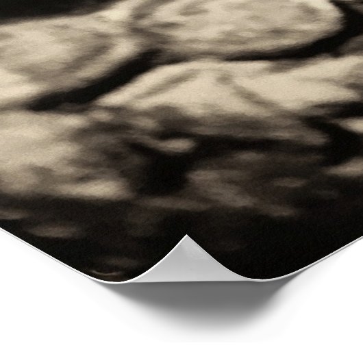 Mooie Apsaras Poster (Hoek)