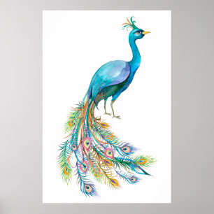 Mooie aquarel blauwe pauw illustratie poster
