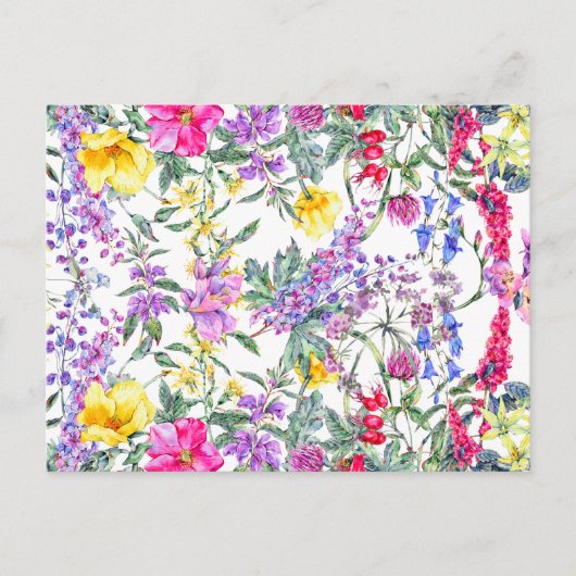 Mooie Aquarel Kleurrijke Wilde Bloemen    Briefkaart (Voorkant)