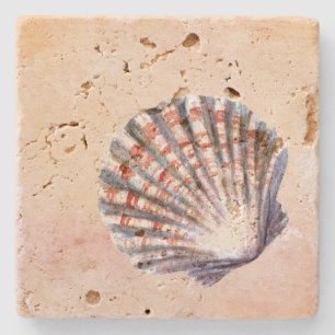Mooie aquarel schelp Roze Strand Stenen Onderzetter