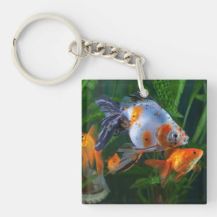 Mooie aquarium vistank sleutelhanger