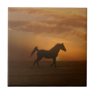 Mooie Arabiës Sunset Art Tegel Horse Lover Tegeltje