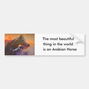 Mooie Arabische Bumpersticker