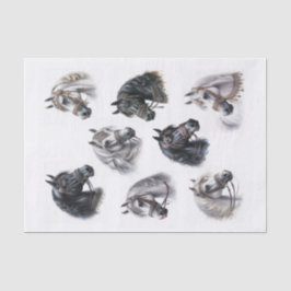 Mooie Arabische paarden met Fancy Bridles Tissuepapier