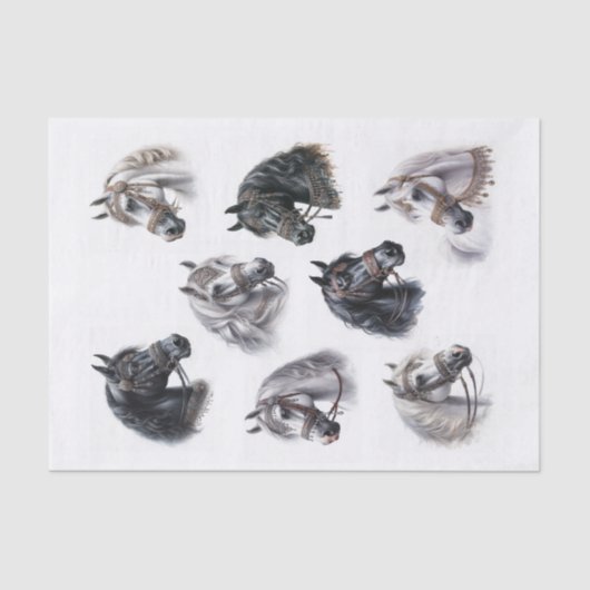 Mooie Arabische paarden met Fancy Bridles Tissuepapier (Voorkant)