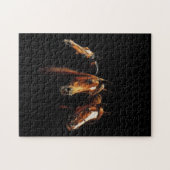 Mooie Arabische paarden Puzzle Legpuzzel (Horizontaal)