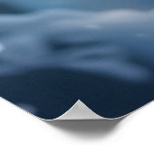 Mooie Arctic Wolf fotografie Poster (Hoek)