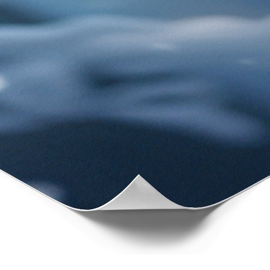 Mooie Arctic Wolf fotografie Poster (Hoek)