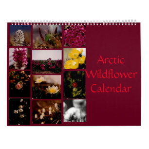 Mooie Arctische Wilde-bloemen Kleurwand Kalender