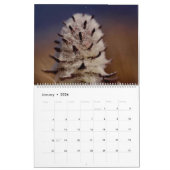 Mooie Arctische Wilde-bloemen Kleurwand Kalender (Jan 2026)