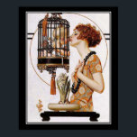 Mooie Art Deco-afdrukken Poster<br><div class="desc">Mooie Art Deco-afdrukken</div>