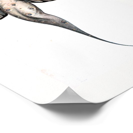 Mooie Art Deco Butterfly Fairy Poster (Hoek)