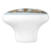 Mooie Art Deco Emaille Dragonfly Gouden Parels Keramische Knop (Zijkant)