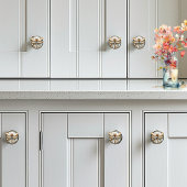 Mooie Art Deco Emaille Dragonfly Gouden Parels Keramische Knop