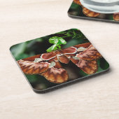 Mooie Atlas Moth Bier Onderzetter (Linkerzijde)