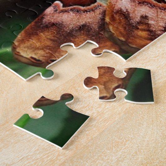 Mooie Atlas Moth Legpuzzel (Zijkant)