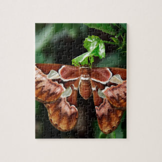 Mooie Atlas Moth Legpuzzel