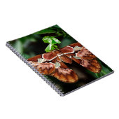 Mooie Atlas Moth Notitieboek (Rechterzijde)