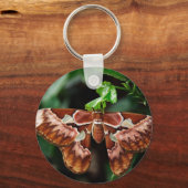 Mooie Atlas Moth Sleutelhanger (Voorkant)