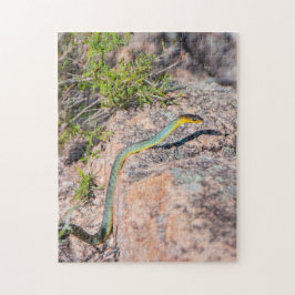 Mooie Australische groene boomslang, 252 stukken Legpuzzel
