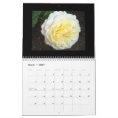 Mooie B.C.-rozen 2013 Kalender (Mar 2027)
