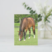 Mooie baai briefkaart (Staand voorkant)