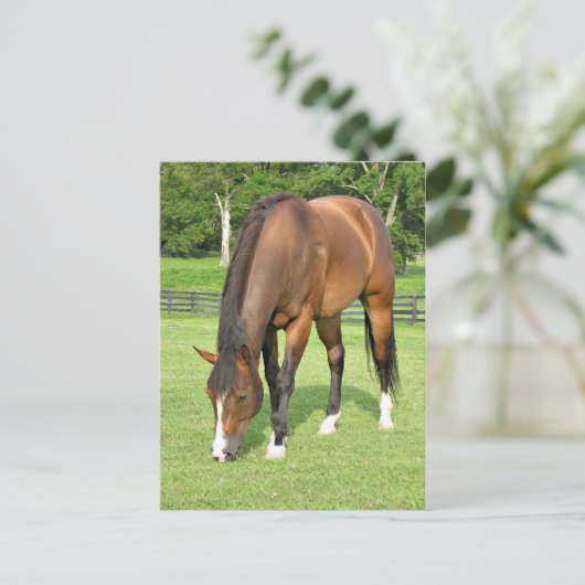 Mooie baai briefkaart (Staand voorkant)